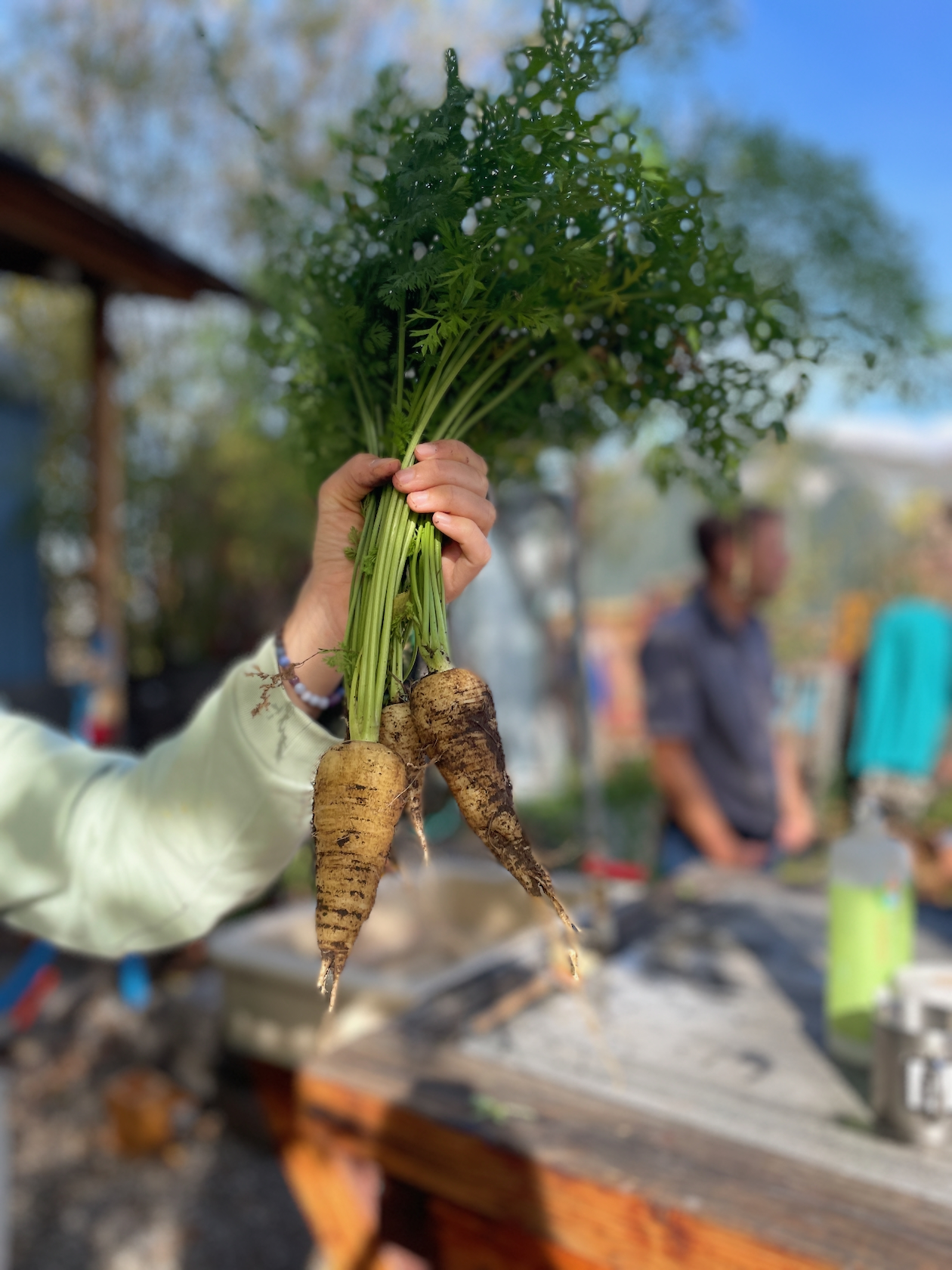 Gärtnern im Klybeck