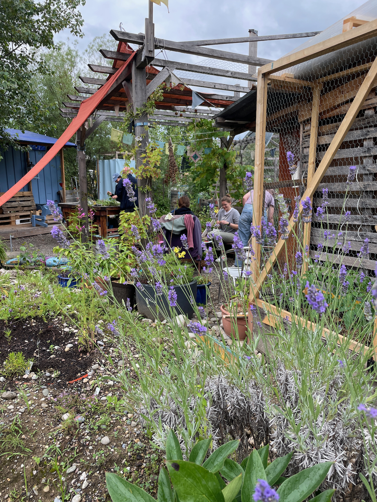 Kräuter und Gemüse